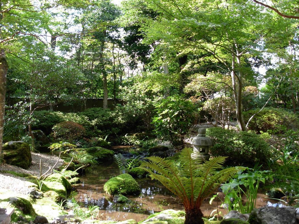 Yoshimatsu Hotel Hakone Buitenkant foto